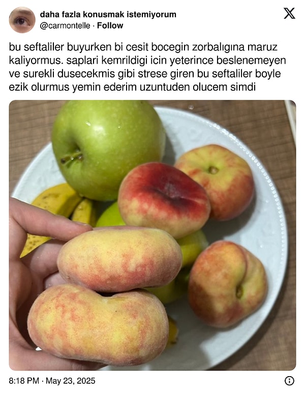 Bugün de üzülecek bir şey bulundu. Görseli