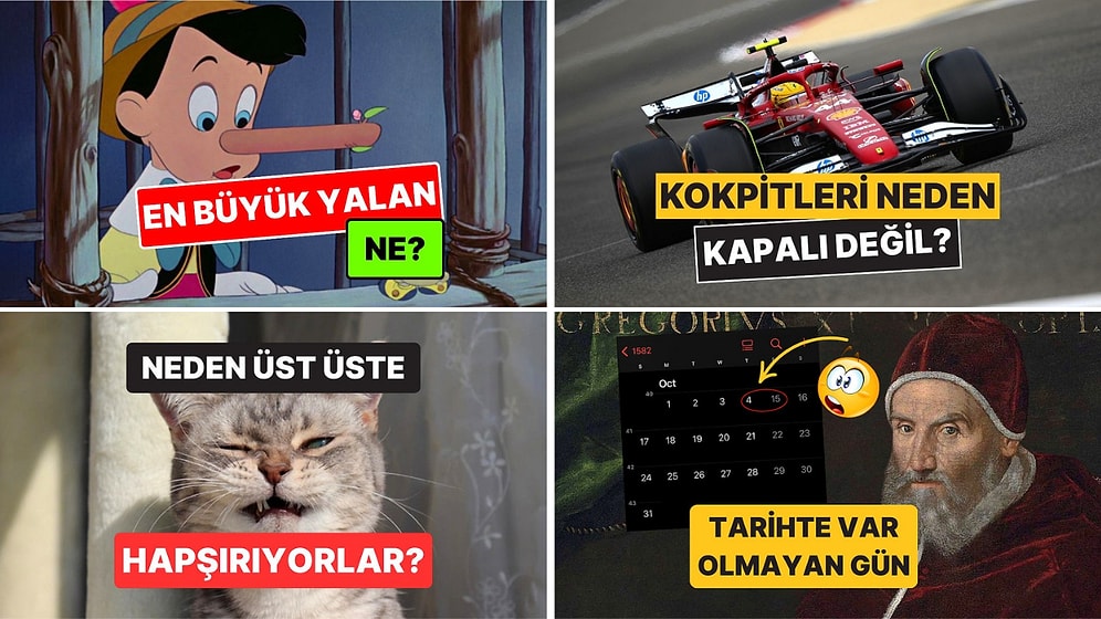 Sohbetlerin Aranan İsmi Olacaksınız: Arkadaş Ortamında Satabileceğiniz 15 Şaşırtıcı Bilgi