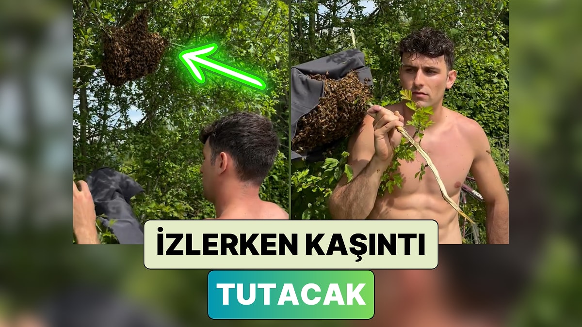 Bir Ağaca Yuva Yapan Arıları Tişörtü ile Alarak Başka Bir Yere Taşıyan Adamı İzlerken Kaşıntı Tutacak
