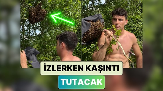 Bir Ağaca Yuva Yapan Arıları Tişörtü ile Alarak Başka Bir Yere Taşıyan Adamı İzlerken Kaşıntı Tutacak