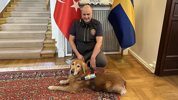Kahramanmaraş’ın simgelerinden Killian hayatını kaybetti. Görseli