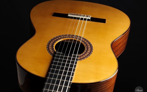 Klasik gitarın telleri bir zamanlar bağırsaktan yapılıyordu!