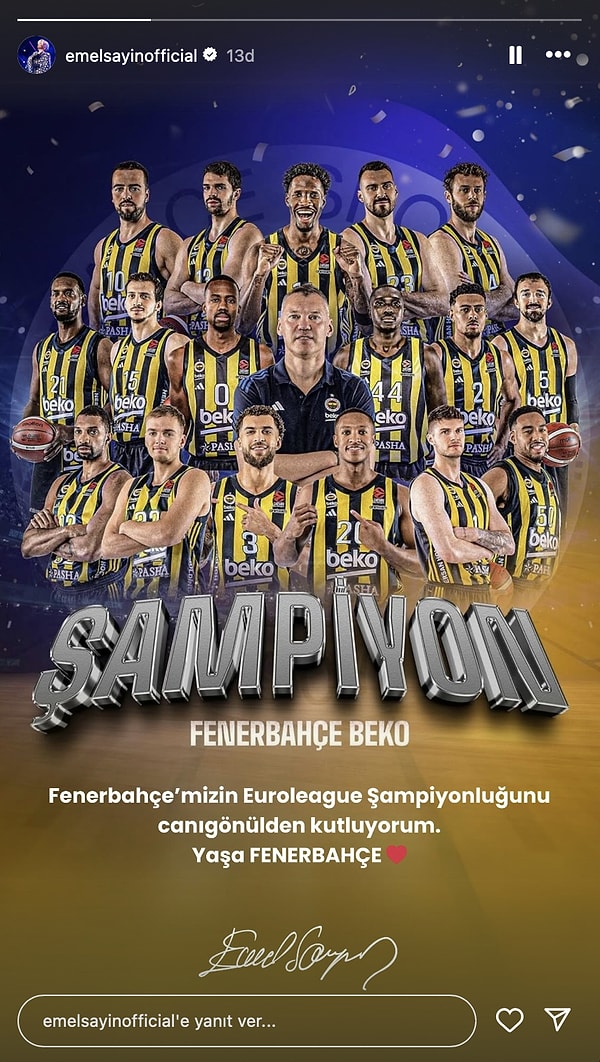 Emel Sayın