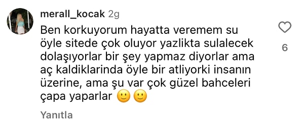 👇