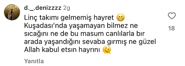 👇