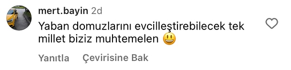 👇