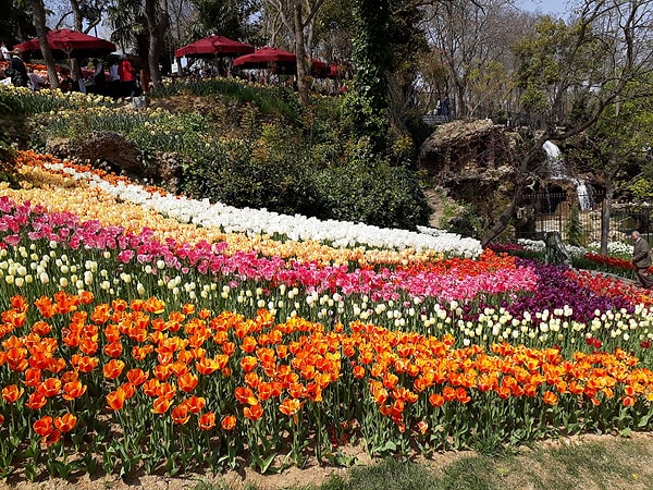 4. Emirgan Grove / Sarıyer