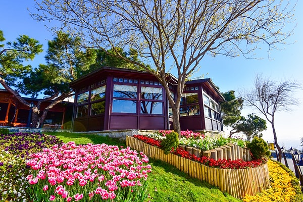 6. Gozdagi Grove / Pendik