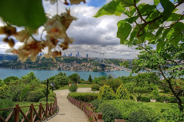 7. Otagtepe Fatih Grove / Beykoz