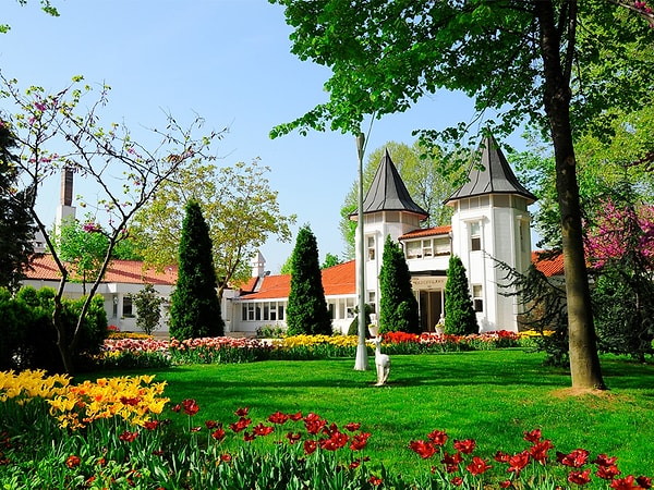 8. Abraham Grove / Beykoz