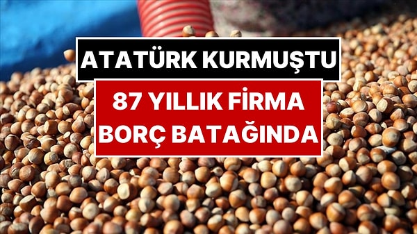 Kapak Görseli
