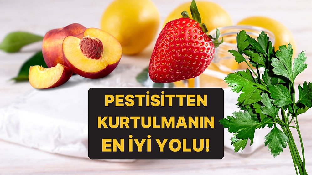 Karbonat, Sirke, Limon: Pestisitlerden Kurtulmanın En İyi Yolunu Uzmanlar Açıkladı!