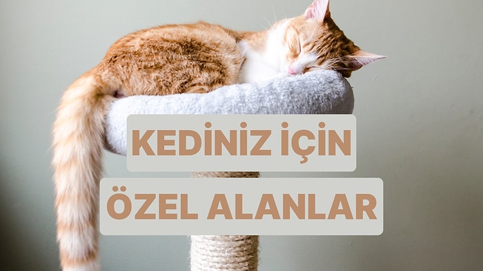 Aklınızın Evde Kalmaması İçin Kedinize Yaratabileceğiniz 10 Alan