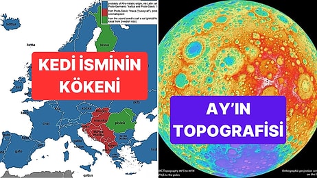 İncelemelere Doyamayacağınız Bu 10 Harita Hayata Bakış Açınızı Değiştirebilir!