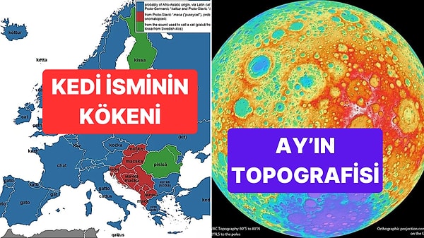 Kapak Görseli