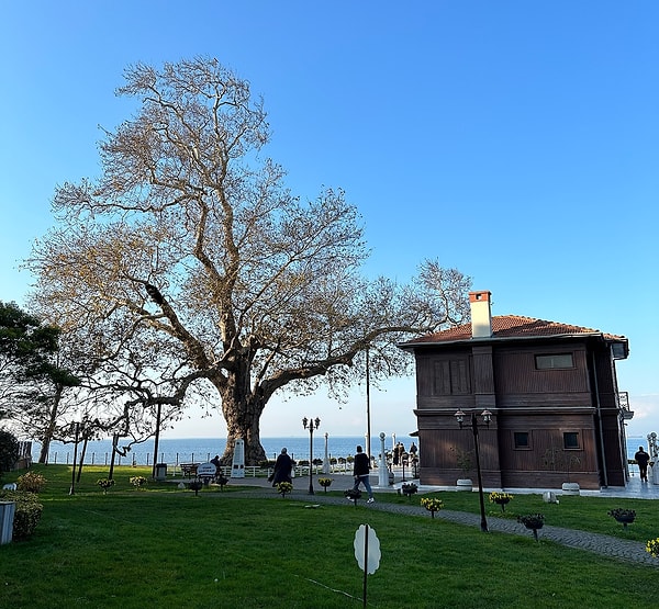 7. Yürüyen Pavilion