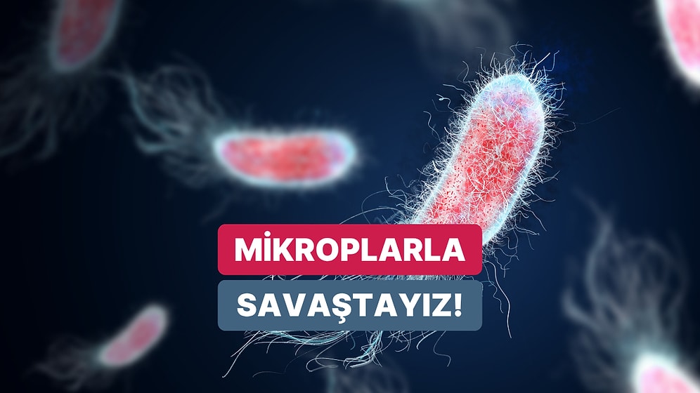 Evde Mikroorganizma Oluşumu Nasıl Önlenir?