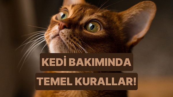 Kapak Görseli