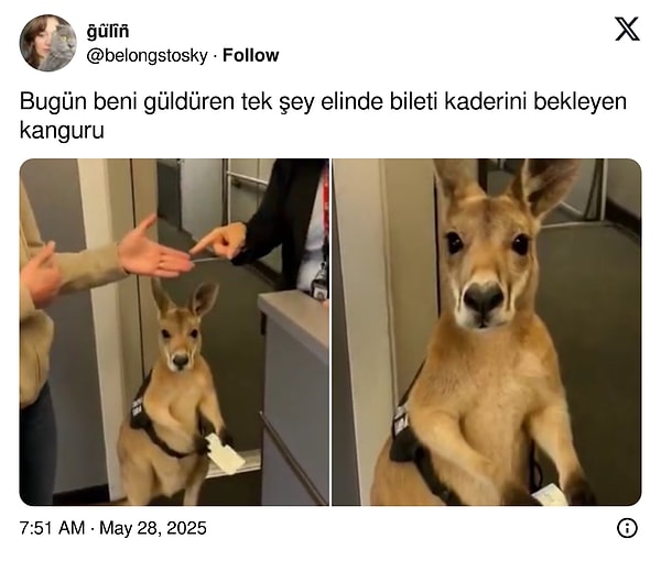 Ne kadar masum değil mi?