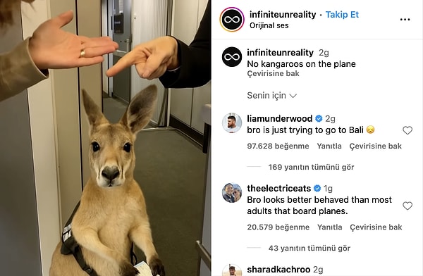 Yapay zeka kanguru videosu, farklı tarzlarda yapay zeka videolar oluşturan bir Instagram sayfası tarafından paylaşıldı.