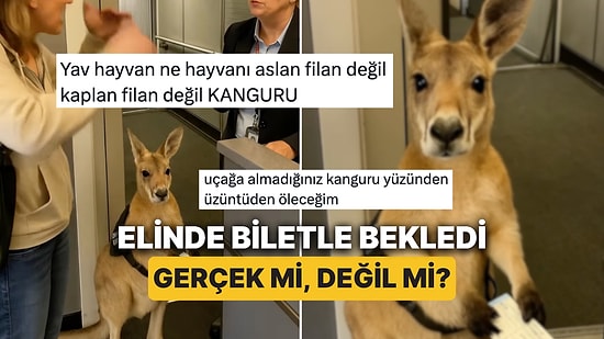 Sosyal Medyayı Kasıp Kavuran "Uçağa Alınmayan" Kanguru Yapay Zeka Çıktı!