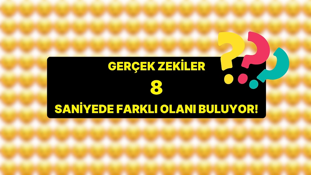 8 Saniyede Farklı Olanı Buluyorsan Türkiye'nin %80'inden Zekisin Demektir!