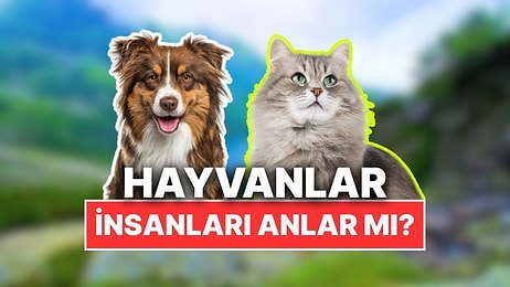 Hayvanlar Gerçekten Konuşmamızı Anlayacak Kadar Zeki mi?