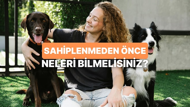 Bir Köpek Sahiplenmeden Önce Bilmeniz Gerekenler