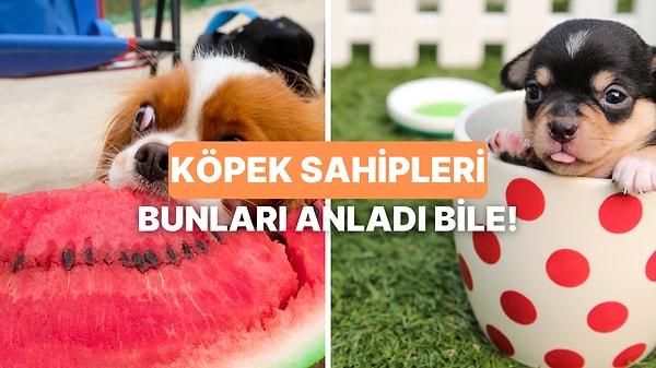 Kapak Görseli