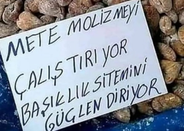Soyadı Molizme.
