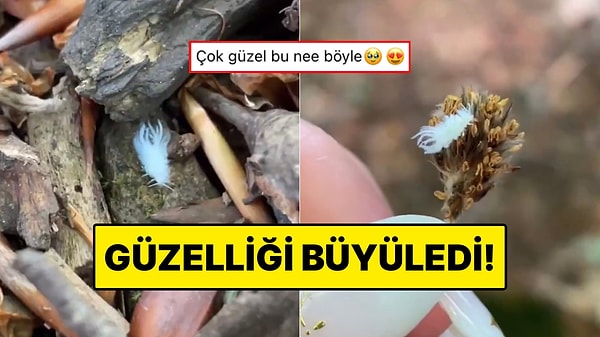 Kapak Görseli
