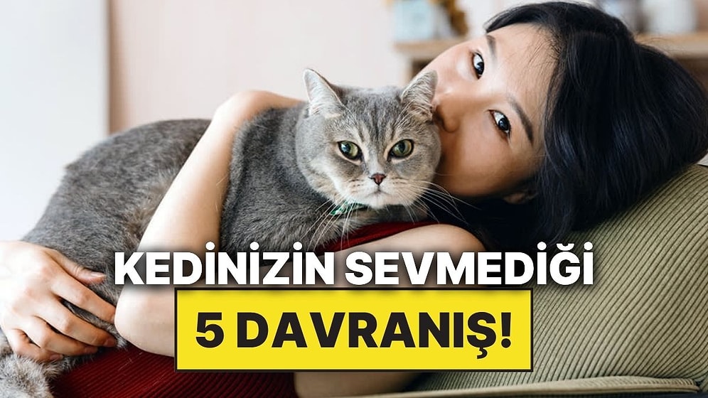 Siz Fark Etmeseniz de Kedinizin Hiç Sevmediği Davranışlar