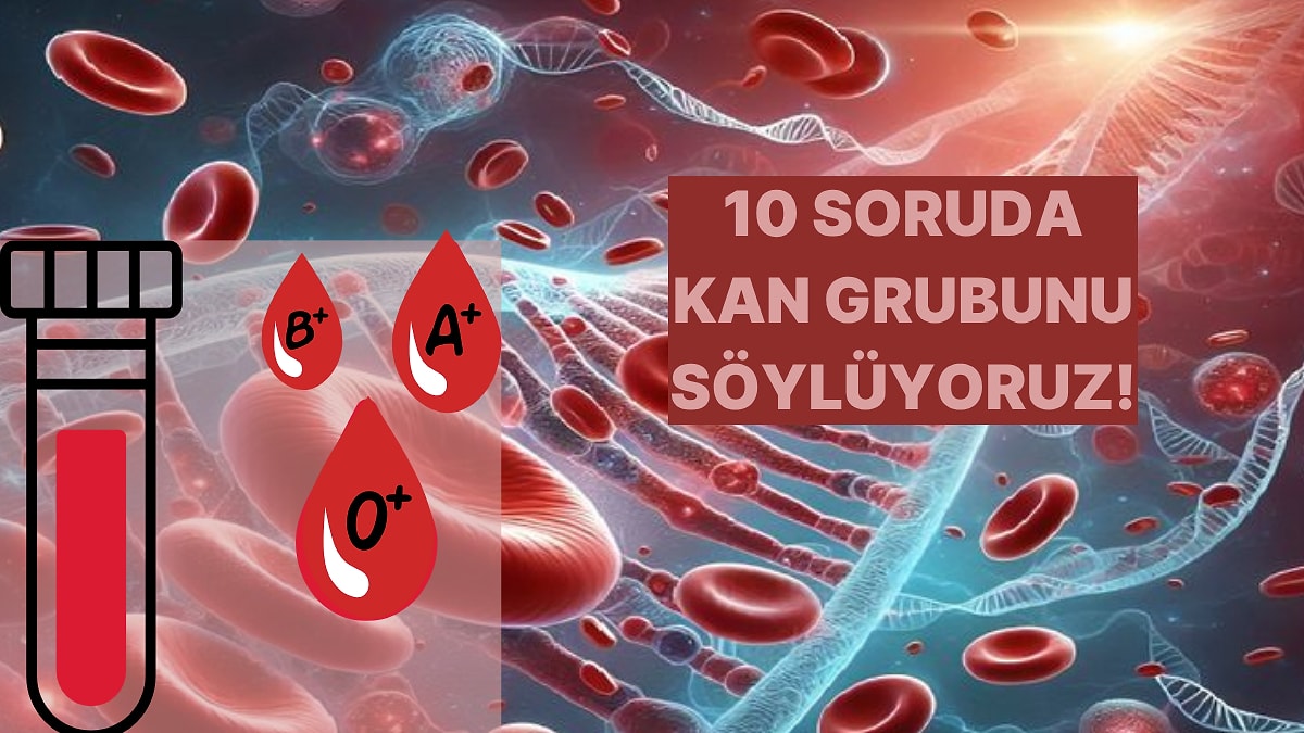 Tercihlerine Göre Senin Kan Grubun Hangisi?