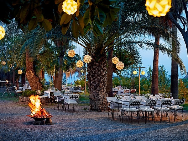Food and Drink Guide: What to Eat in Olympus and Çıralı?