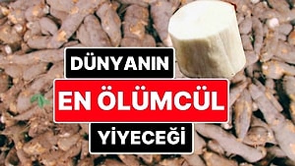 Tropikal bölgelerde yetişen nişastalı 'Manyok' bitkisi, çiğ tüketildiğinde veya yanlış işlendiğinde çeşitli sağlık problemlerine yol açabiliyor. Milyonlarca insanın 'doğru şekilde' tükettiği bu bitkinin bileşenleri, vücutta hidrojen siyanüre dönüşerek ölümcül sonuçlara neden olabiliyor.