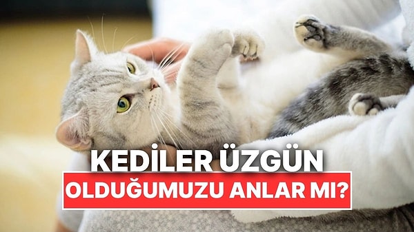 Kapak Görseli