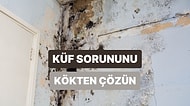 Evde Küf Oluşumunu Önlemek İçin Alabileceğiniz 10 Önlem