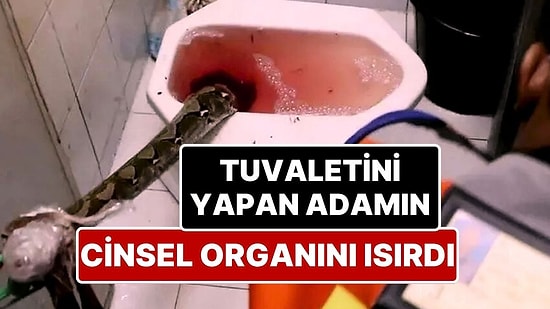 Okurken İçiniz Acıyabilir! Tayland’da Tuvalete Giden Adamın Cinsel Organını 3 Metrelik Piton Isırdı!