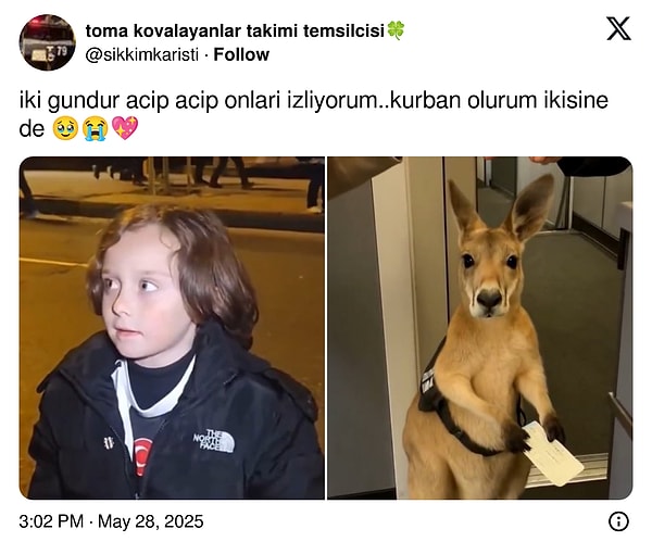 Yapay zeka ürünü bu videonun kahramanına üzünlerler de vardı. Görseli
