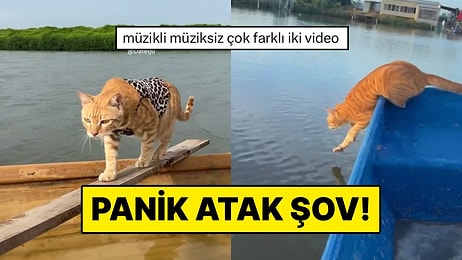 Kedileriyle Macera Yaşamayı Seven İçerik Üreticisinin Panik Atak Yaşatan Anları