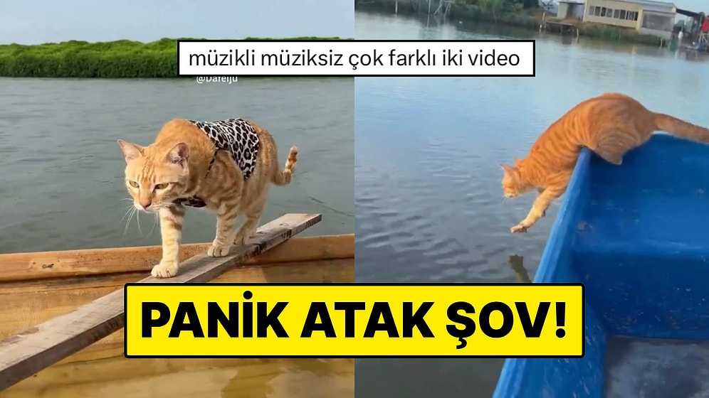 Kedileriyle Macera Yaşamayı Seven İçerik Üreticisinin Panik Atak Yaşatan Anları