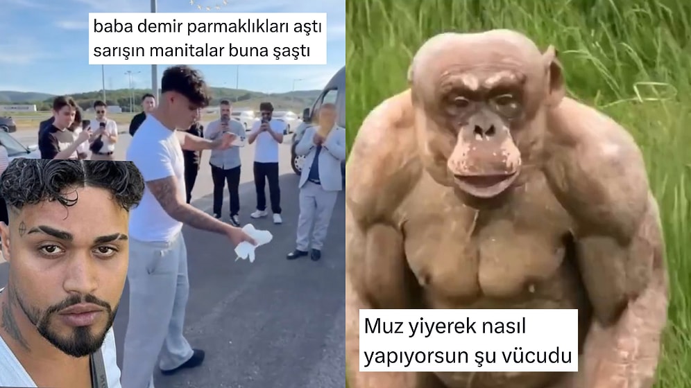 Proteinsiz Vücut Yapanlardan Lvbel C5 Tipi Şarkı Yazma Rehberine Son 24 Saatin Viral Tweetleri