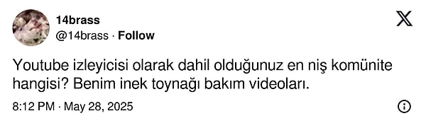 Bir kullanıcının en çok takip edilen niş YouTube içeriklerini sorması üzerine birçok kişi takip ettikleri içerik türlerini paylaştı. Görseli