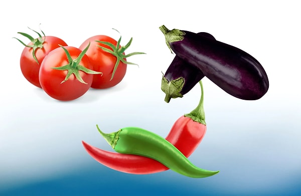 2. Elinde sadece görseldeki malzemeler var diyelim. Bunları nasıl değerlendirirsin?