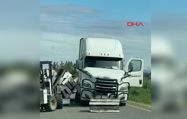 Arılar, gezegenimizin en önemli canlılarından biridir.