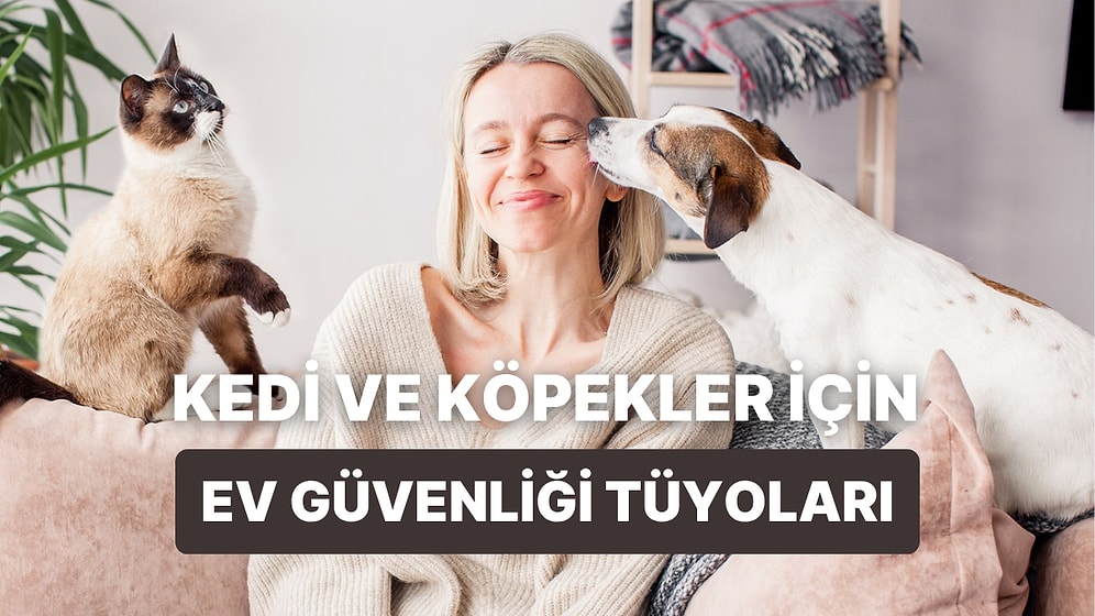 Evini Kedi-Köpek İçin Daha Güvenli Hale Getirmenin 12 Yolu