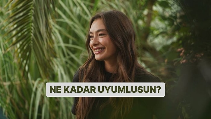 Evet/Hayır Testine Göre Ne Kadar Uyumlusun?