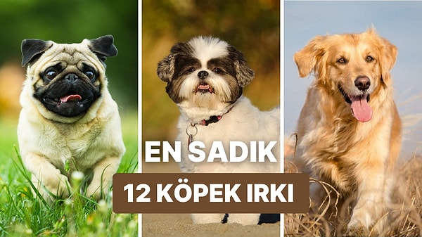 Kapak Görseli