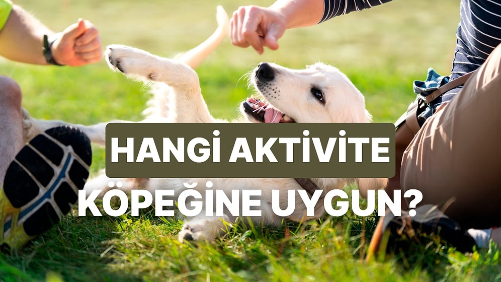 Köpeğinin Cinsini Seç, Ona Özel Aktivite Önerelim!