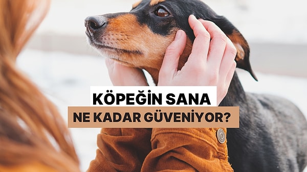 Köpeğin Sana Ne Kadar Güveniyor?